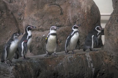 DSC_6403.JPG