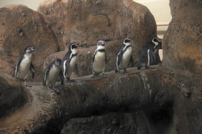 DSC_6406.JPG