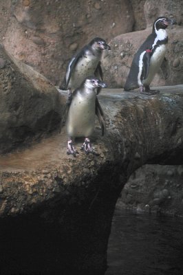 DSC_6407.JPG