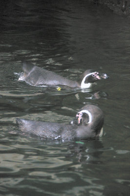 DSC_6410.JPG