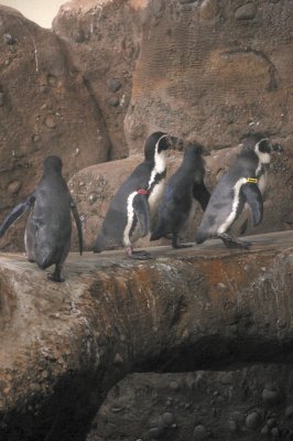 DSC_6411.JPG