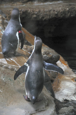 DSC_6413.JPG