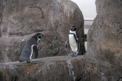 DSC_6414.JPG