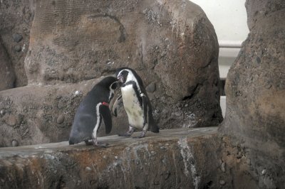 DSC_6415.JPG