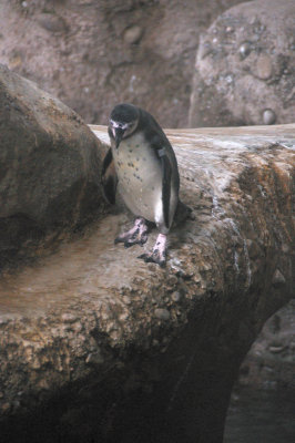 DSC_6419.JPG