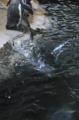 DSC_6428.JPG