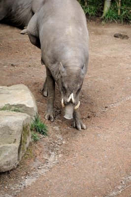 DSC_6439.JPG
