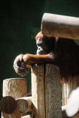 DSC_6457.JPG