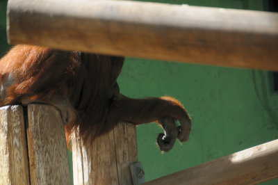 DSC_6465.JPG