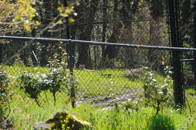 DSC_6470.JPG