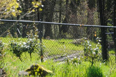 DSC_6471.JPG