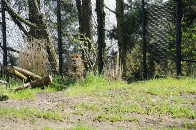 DSC_6489.JPG