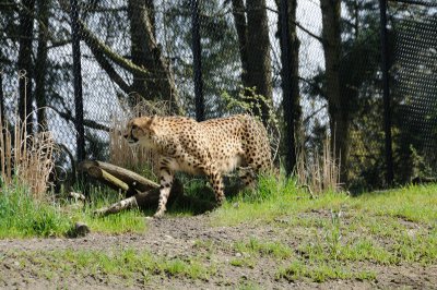 DSC_6490.JPG