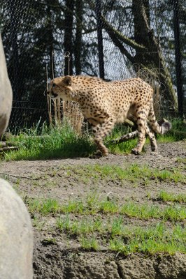 DSC_6491.JPG