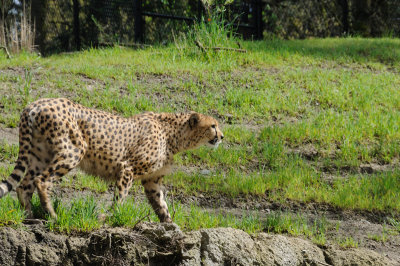 DSC_6492.JPG