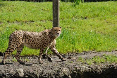 DSC_6493.JPG