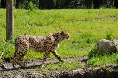 DSC_6494.JPG