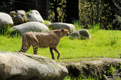 DSC_6495.JPG