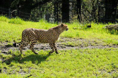 DSC_6496.JPG