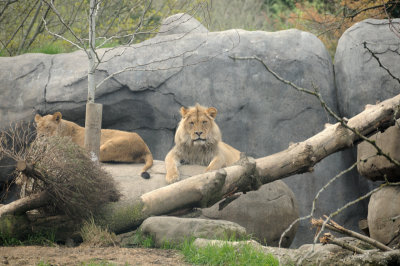 DSC_6503.JPG