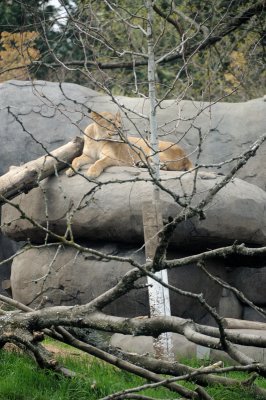 DSC_6504.JPG