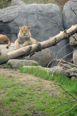 DSC_6505.JPG