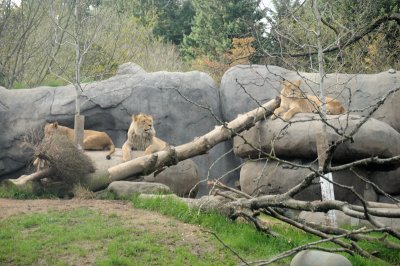 DSC_6507.JPG