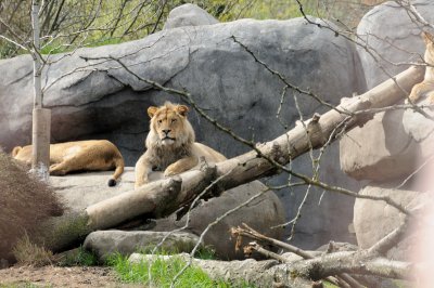 DSC_6509.JPG