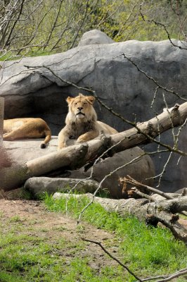 DSC_6510.JPG