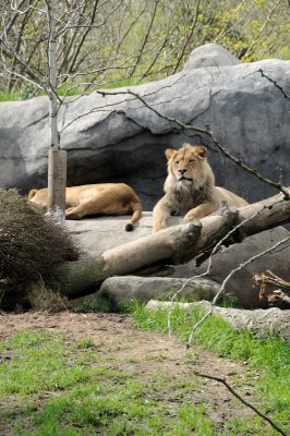 DSC_6511.JPG