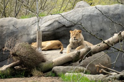 DSC_6512.JPG
