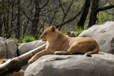 DSC_6516.JPG