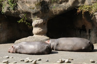 DSC_6524.JPG