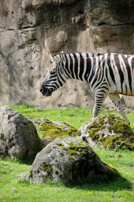 DSC_6534.JPG