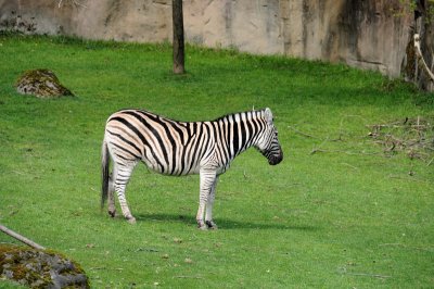 DSC_6542.JPG