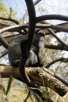 DSC_6554.JPG