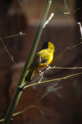 DSC_6556.JPG