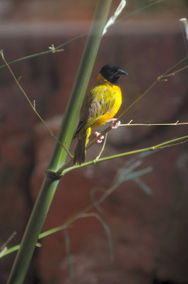 DSC_6557.JPG