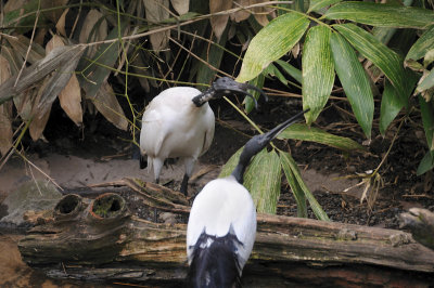 DSC_6580.JPG