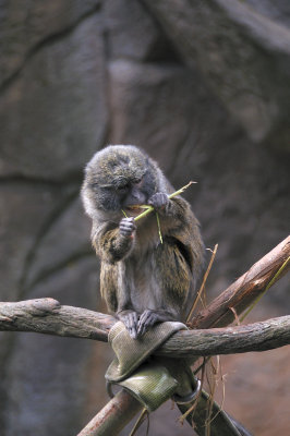 DSC_6589.JPG
