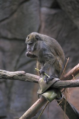 DSC_6590.JPG