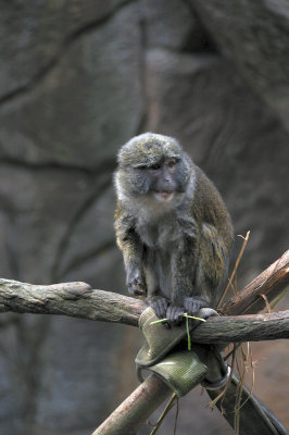 DSC_6591.JPG