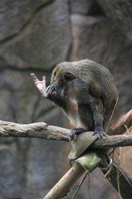 DSC_6593.JPG