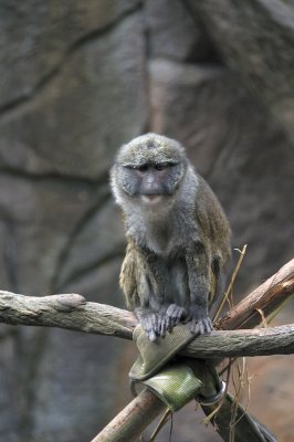 DSC_6595.JPG