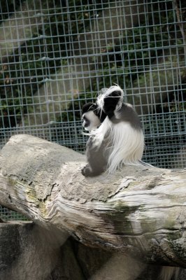 DSC_6597.JPG