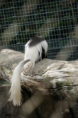 DSC_6598.JPG