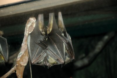 DSC_6600.JPG