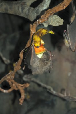 DSC_6602.JPG