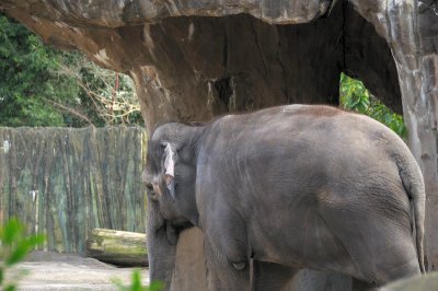 DSC_6607.JPG