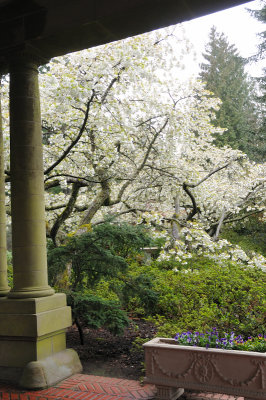DSC_6612.JPG